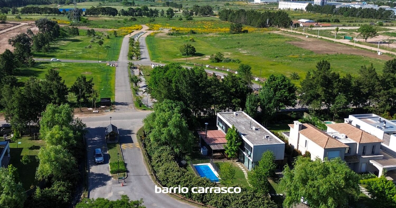 Ombúes Barrio Carrasco