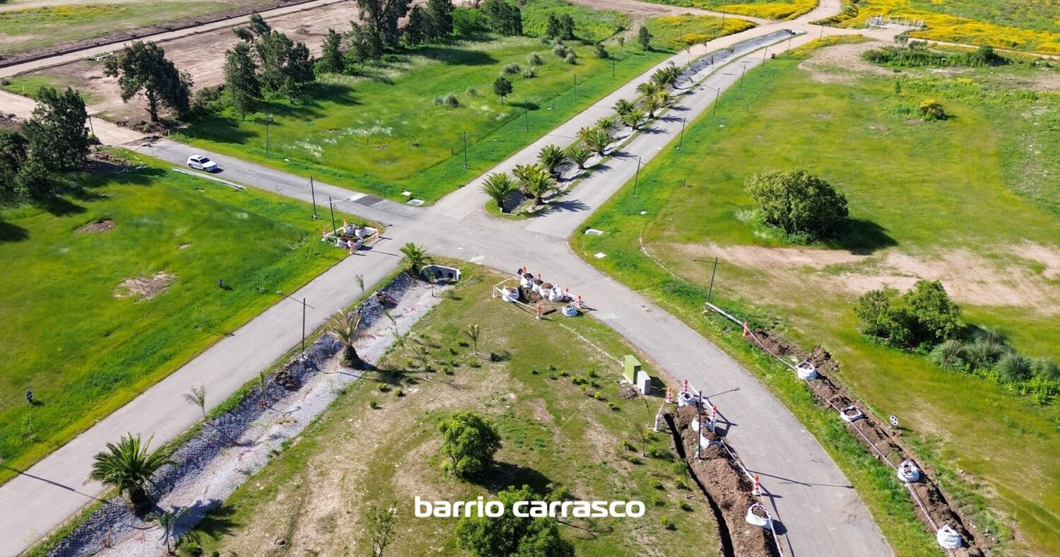 Ombúes Barrio Carrasco Ubicación