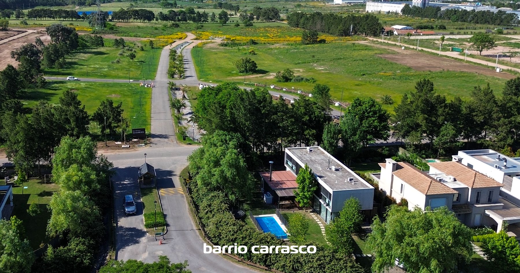 Ombúes Barrio Carrasco